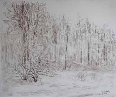 Perm, Balatovo in Frosty Cold Drawing by Alexey Beregovoy